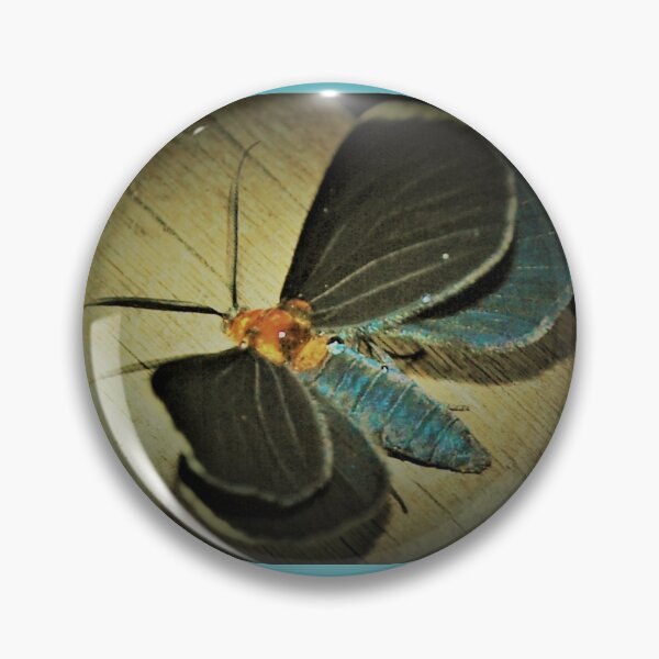 Item preview, Damp White-tipped black moth designed and sold by B. Randi Bailey.