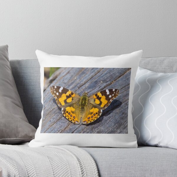 Item preview, Australian Painted Lady Butterfly designed and sold by Rick Playle.