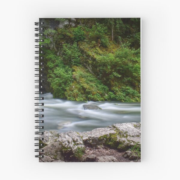 Item preview, Source of the Doubs designed and sold by Artphotocathy88.