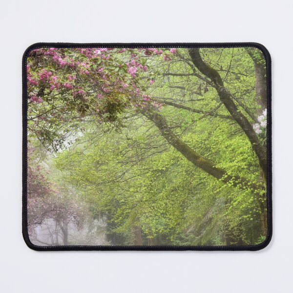 Item preview, The Colours of Spring - Mt Wilson NSW Australia designed and sold by Bev Woodman.