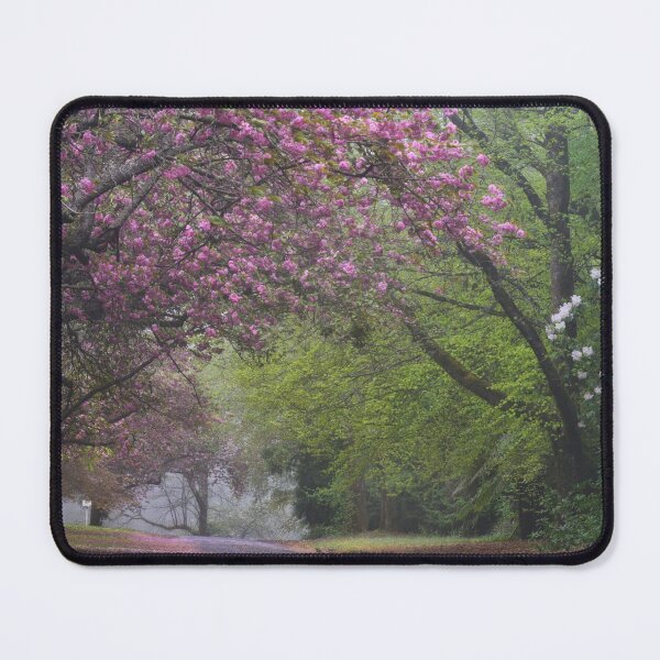 Spring Show - Mt Wilson NSW Australia Mouse Pad