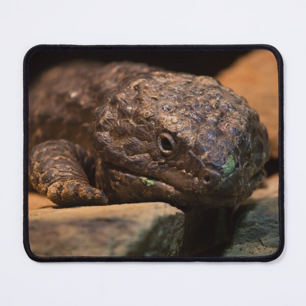 Item preview, Tu barrio Stumpy designed and sold by JABTORStudios.