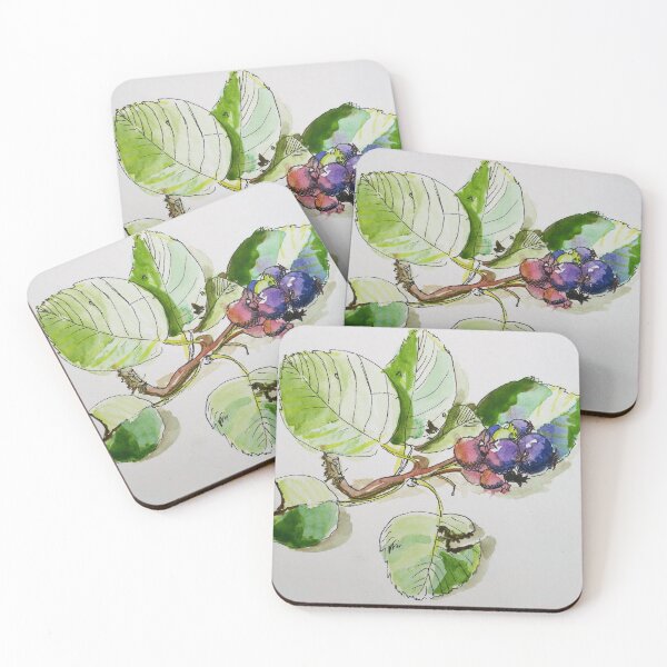 Item preview, Saskatoons designed and sold by lisabenckhuysen.