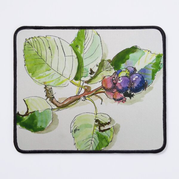 Item preview, Saskatoons designed and sold by lisabenckhuysen.