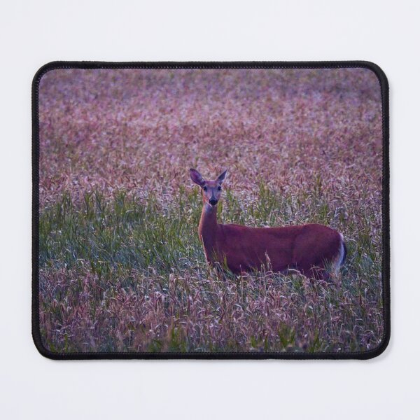 Item preview, On the fields at night. White-tailed deer designed and sold by Jouko Lehto Photography.