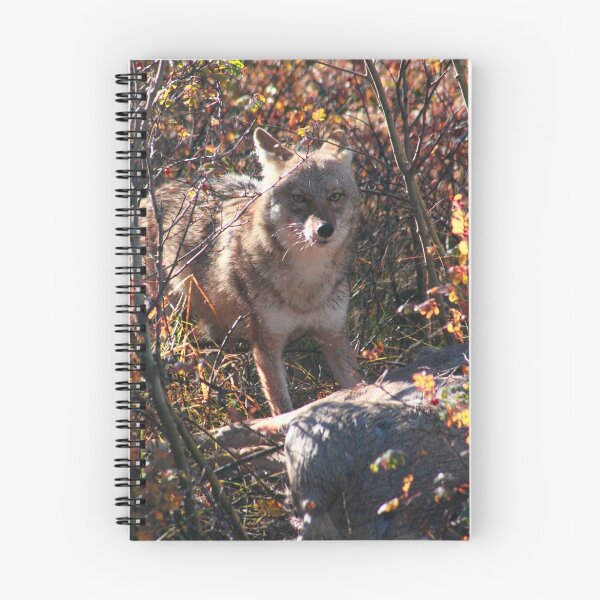 Item preview, Prairie wolf  designed and sold by zumi.