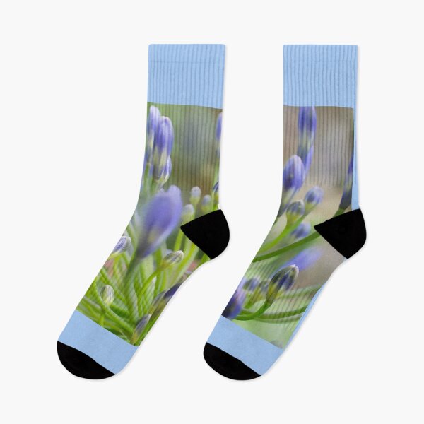 Item preview, Agapanthus Close Up designed and sold by Alisonchambers2.