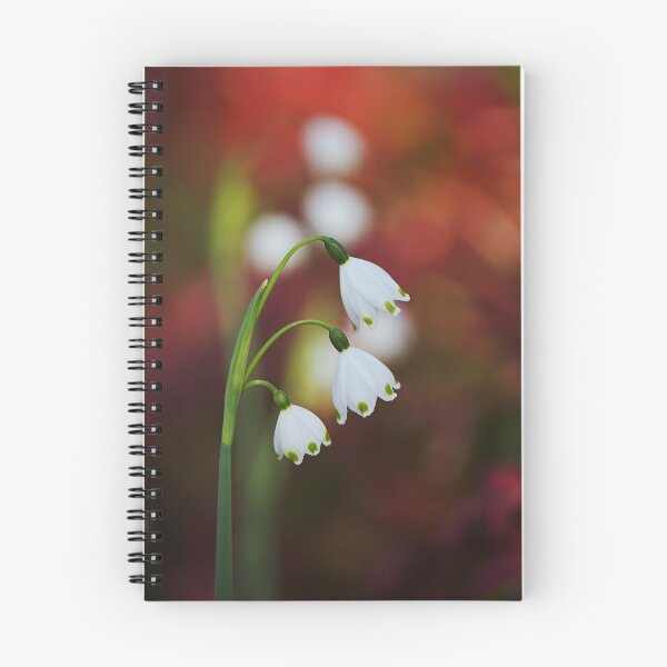 Item preview, Snowdrop Flowers See Double designed and sold by Joy Watson - Natural Light Photography .