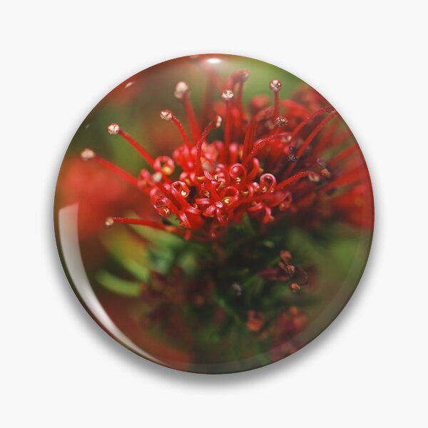 Item preview, Grevillea Flowers Red Plenty designed and sold by Joy Watson - Natural Light Photography .