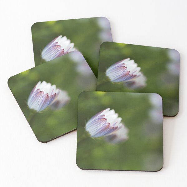 Item preview, Daisy Cape Unfolding Dreams  designed and sold by Joy Watson - Natural Light Photography .