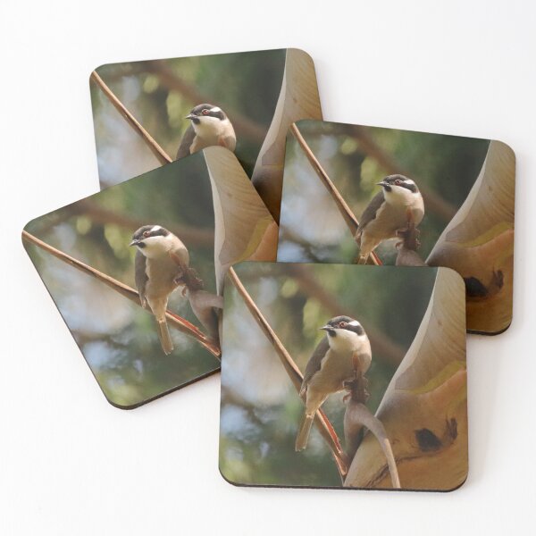 Item preview, Strong Billed Honeyeater designed and sold by Simon  King.