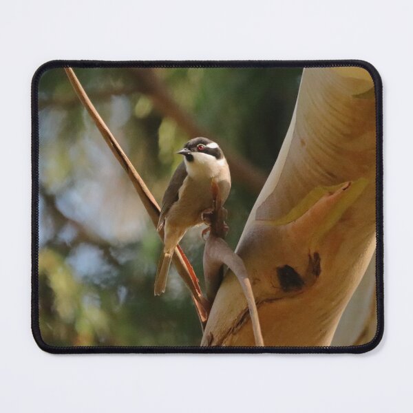 Item preview, Strong Billed Honeyeater designed and sold by Simon  King.
