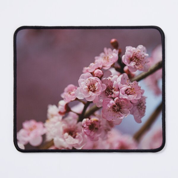 Item preview, Blossom Hanging On The Tree designed and sold by Joy Watson - Natural Light Photography .