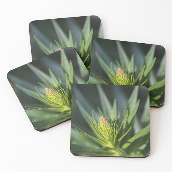 Item preview, Veronica Flower In Bud designed and sold by Joy Watson - Natural Light Photography .