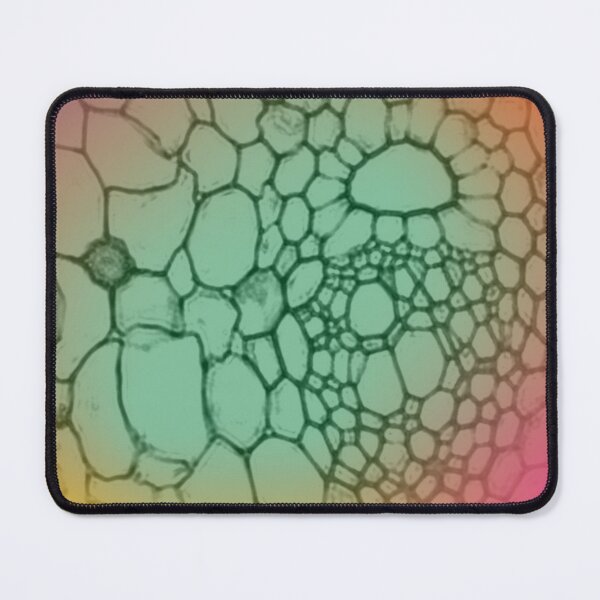 Item preview, Butterfly wing under microscope  designed and sold by Africa C. Williams.