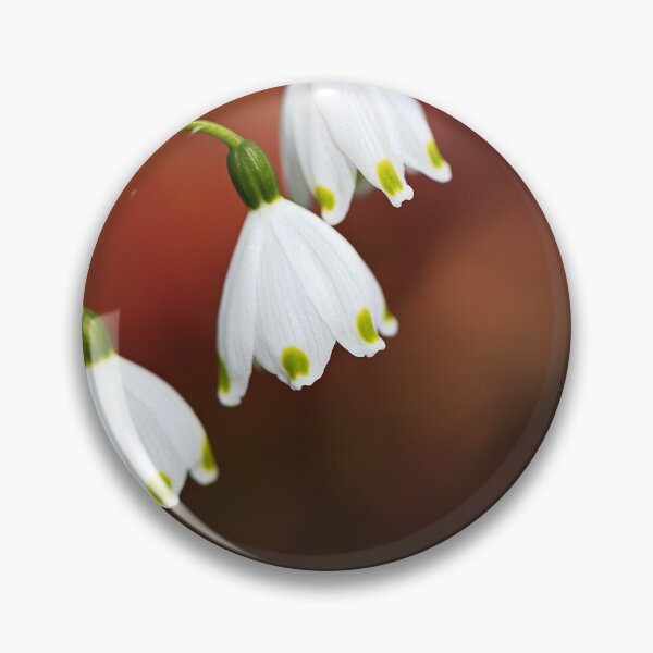 Item preview, Snowdrop Flowers Just Shine designed and sold by Joy Watson - Natural Light Photography .