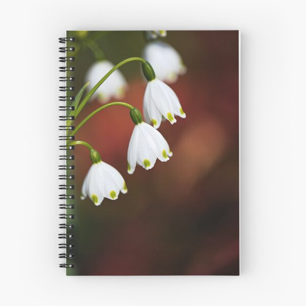 Item preview, Snowdrop Flowers Just Shine designed and sold by Joy Watson - Natural Light Photography .