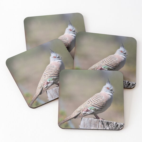 Item preview, Crested pigeon  designed and sold by MargsNaturePix.