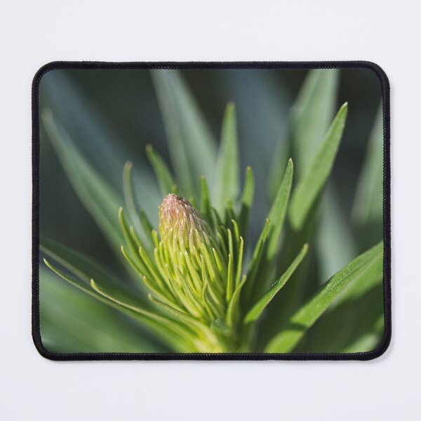 Item preview, Veronica Flower In Bud designed and sold by Joy Watson - Natural Light Photography .