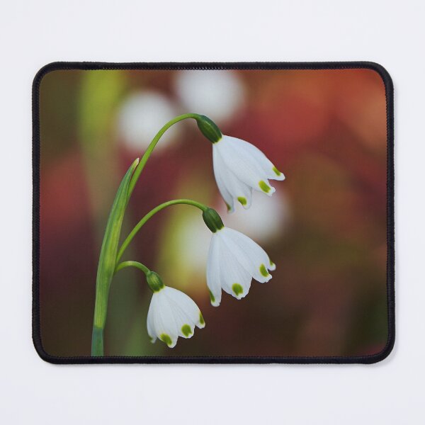 Item preview, Snowdrop Flowers See Double designed and sold by Joy Watson - Natural Light Photography .