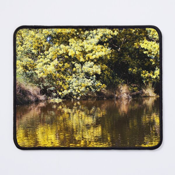 Item preview, Wattle Tree Flowers Reflect  designed and sold by Joy Watson - Natural Light Photography .