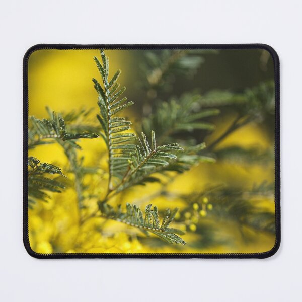 Item preview, Wattle Tree Leaves Green  designed and sold by Joy Watson - Natural Light Photography .