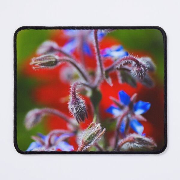 Item preview, The Borage Plant Waves Arms designed and sold by Joy Watson - Natural Light Photography .