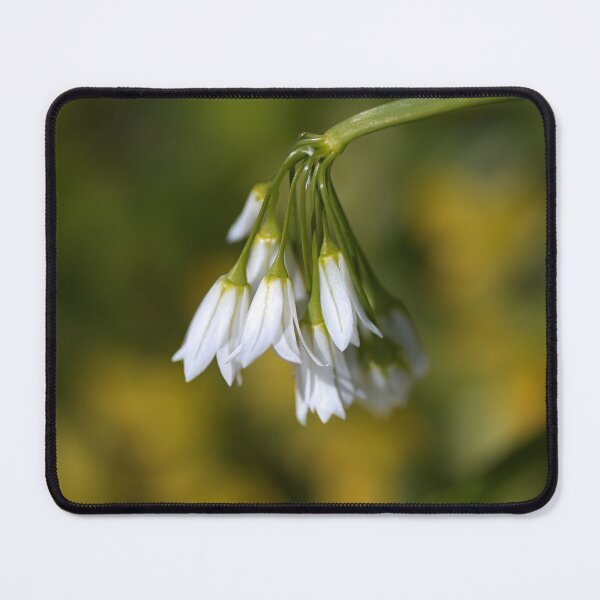 Item preview, White Onion Weed Flowers  designed and sold by Joy Watson - Natural Light Photography .