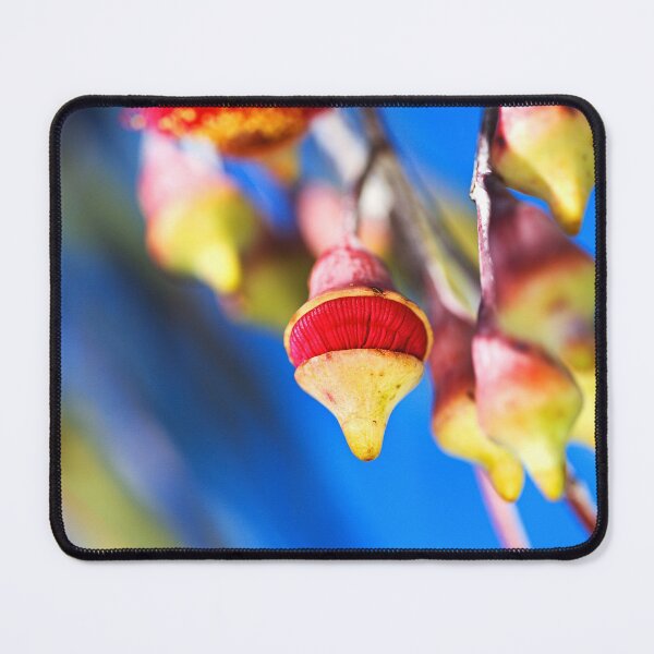 Item preview, Eucalyptus Flowers Red Spinning Top designed and sold by Joy Watson - Natural Light Photography .