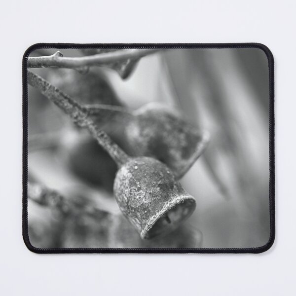 Item preview, Mature Gumnuts Mono designed and sold by Joy Watson - Natural Light Photography .