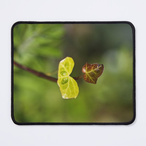 Item preview, Heart With Face Ivy designed and sold by Joy Watson - Natural Light Photography .