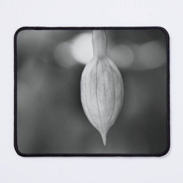 Item preview, Fuchsia Bud In Black And White  designed and sold by Joy Watson - Natural Light Photography .