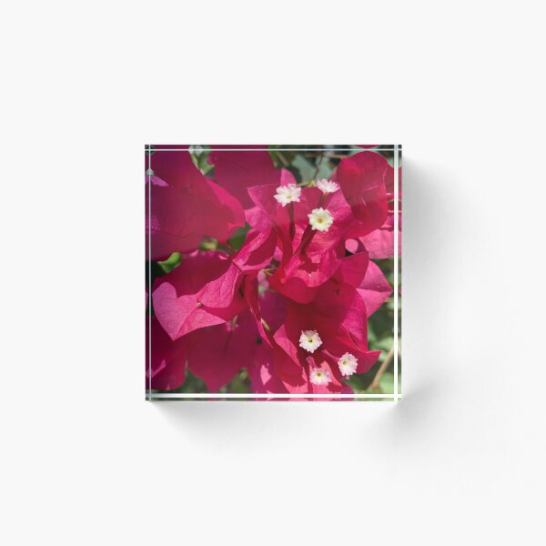 Item preview, Bougainvillea  designed and sold by reb21052.