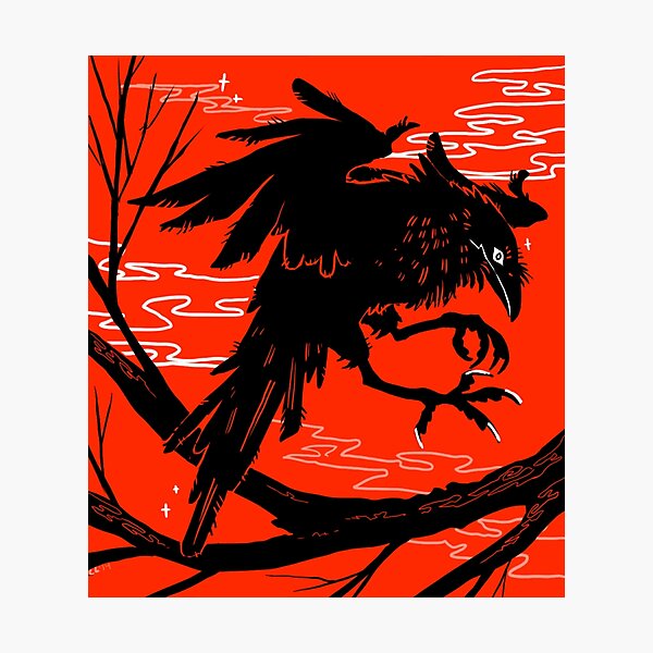 Raven Photographic Print