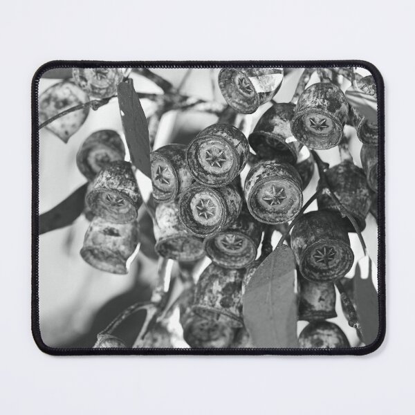 Item preview, Eucalyptus Gumnut Stars BW designed and sold by Joy Watson - Natural Light Photography .