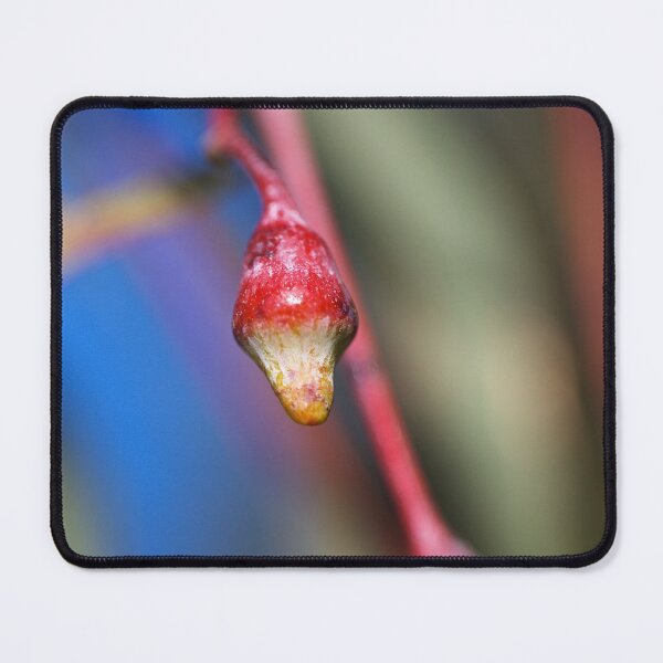 Item preview, Bud Wildfire Eucalyptus designed and sold by Joy Watson - Natural Light Photography .