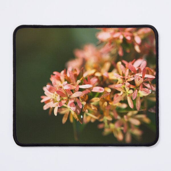 Item preview, Small Autumn Toned Flowers  designed and sold by Joy Watson - Natural Light Photography .