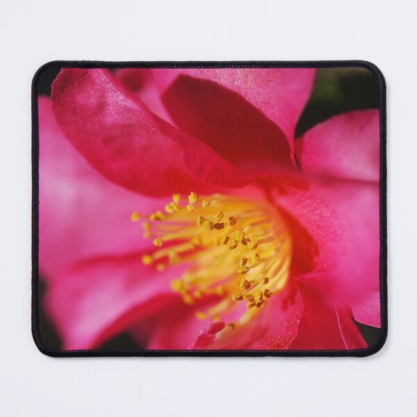 Item preview, Camellia Sasanqua Of Elegance designed and sold by Joy Watson - Natural Light Photography .