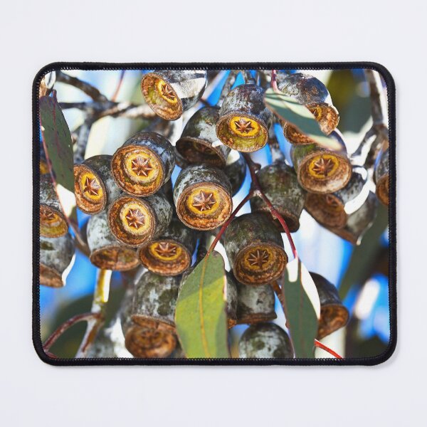 Item preview, Gumnut Stars Shining designed and sold by Joy Watson - Natural Light Photography .