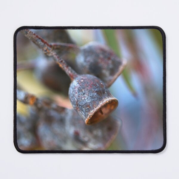 Item preview, Mature Gumnuts Brown designed and sold by Joy Watson - Natural Light Photography .