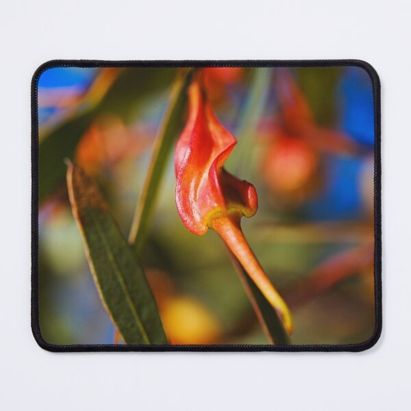 Item preview, Eucalyptus Forrestiana In Fruit  designed and sold by Joy Watson - Natural Light Photography .