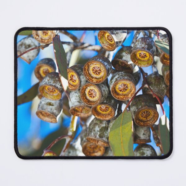 Item preview, Gumnut Oz Stars designed and sold by Joy Watson - Natural Light Photography .