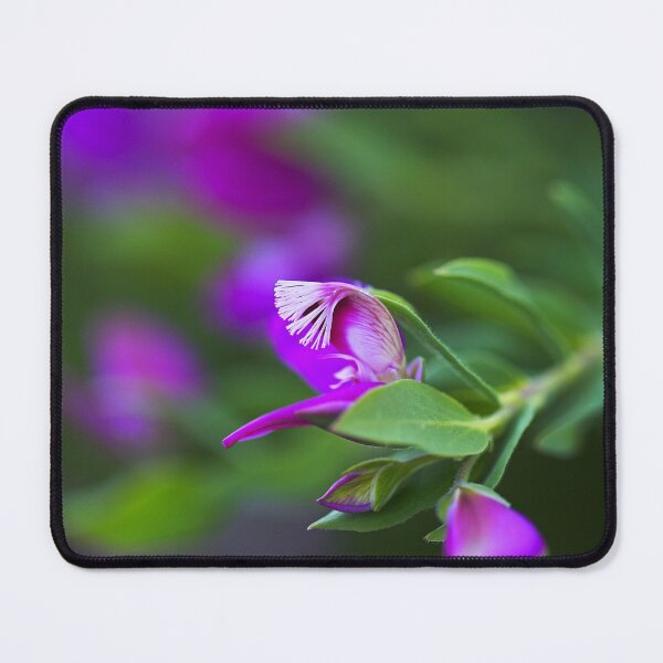 Item preview, Sweet Pea Purple designed and sold by Joy Watson - Natural Light Photography .