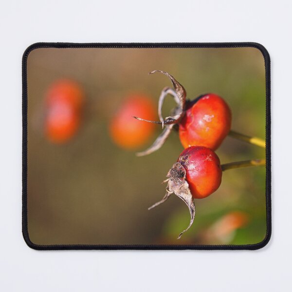 Item preview, Rosehip Red Fruit designed and sold by Joy Watson - Natural Light Photography .