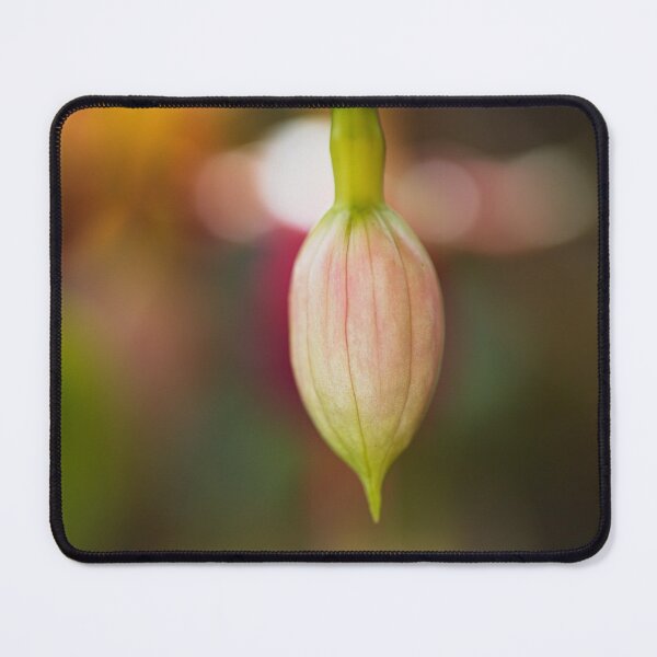 Item preview, Fuchsia Bud Natures Gift  designed and sold by Joy Watson - Natural Light Photography .