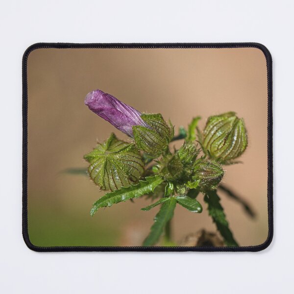 Item preview, Hibiscus Purple Bud Green Pleats  designed and sold by Joy Watson - Natural Light Photography .