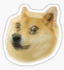 Doge Meme: Gifts & Merchandise | Redbubble