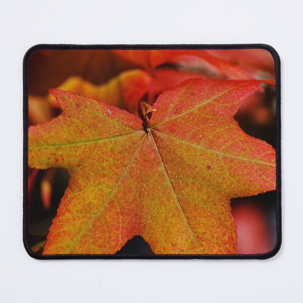 Item preview, Reds And Yellow Leaves Are Glow designed and sold by Joy Watson - Natural Light Photography .