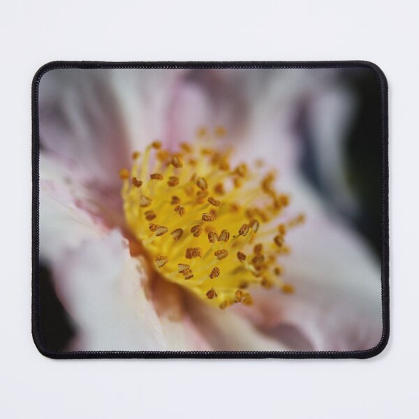 Item preview, Pink Camellia Japonica Flower designed and sold by Joy Watson - Natural Light Photography .