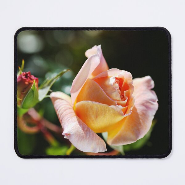 Item preview, April Rose Buds designed and sold by Joy Watson - Natural Light Photography .